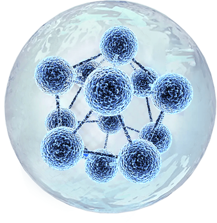 Immune Cell<br>Culture-related Proteins