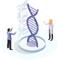 Recombinant Protein Expression Platform