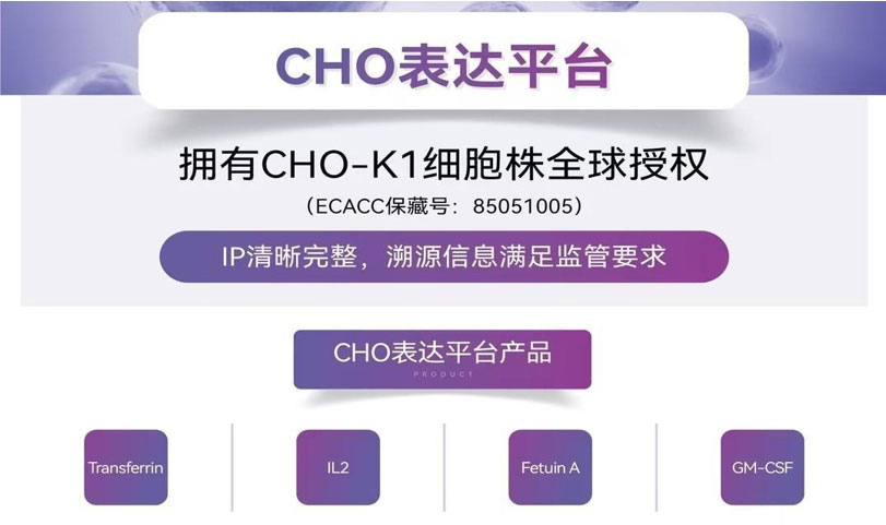 CHO Expression Platform