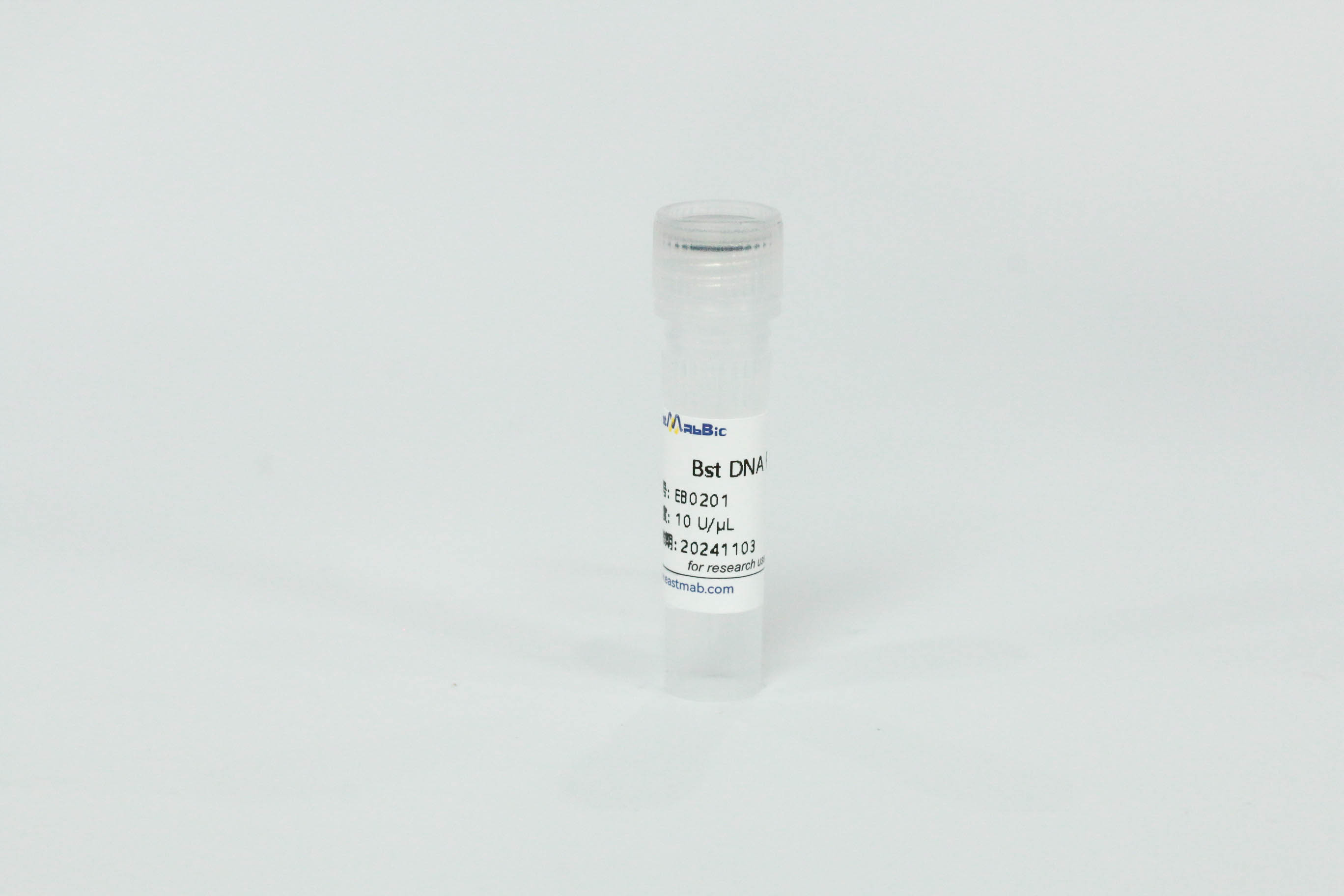 Bst DNA Polymerase