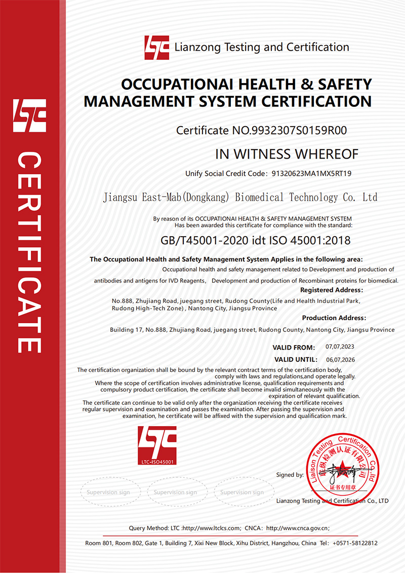 Occupational Health and Safety Management System Certification