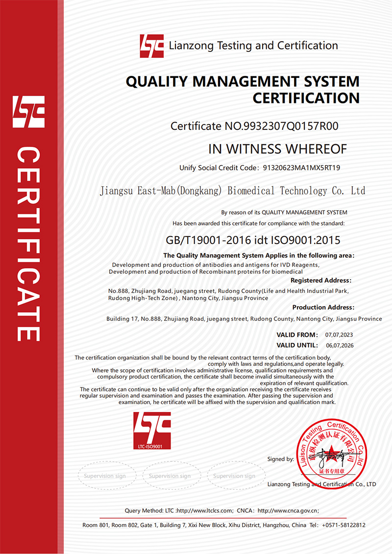 Quality Management System Certification