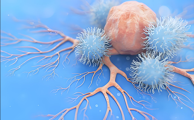 Key Cytokines Involved in NK Cell Activation